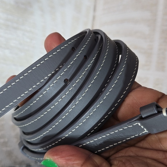 GOYARD Grey  Saigon Structure PM Goyardine Palladium Hardware - Picture 11 of 16